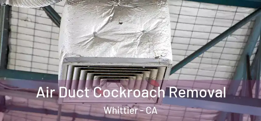 Air Duct Cockroach Removal Whittier - CA