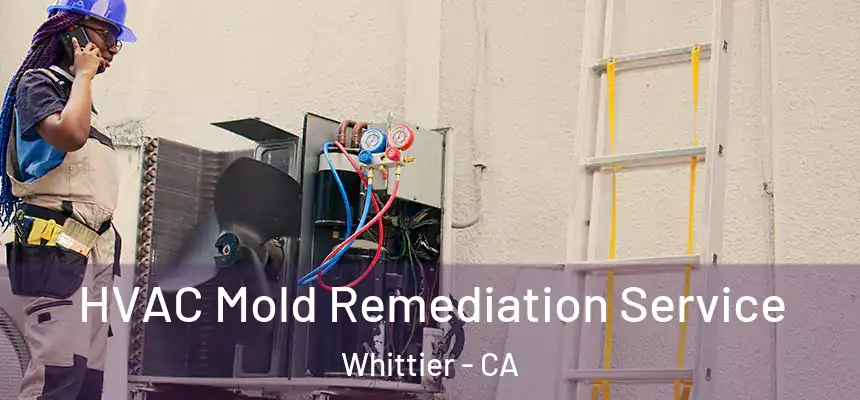  HVAC Mold Remediation Service Whittier - CA