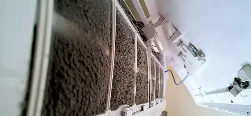 Preventive Air Duct Bacteria Removal in Whittier