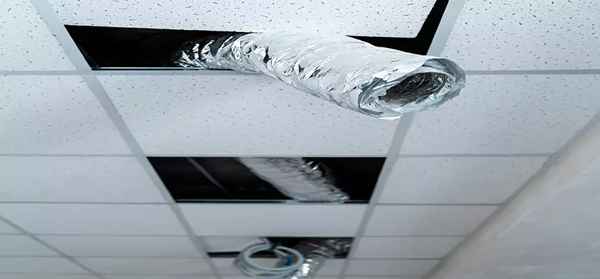 Our Air Duct Pet Hair Removal Services in Whittier, CA