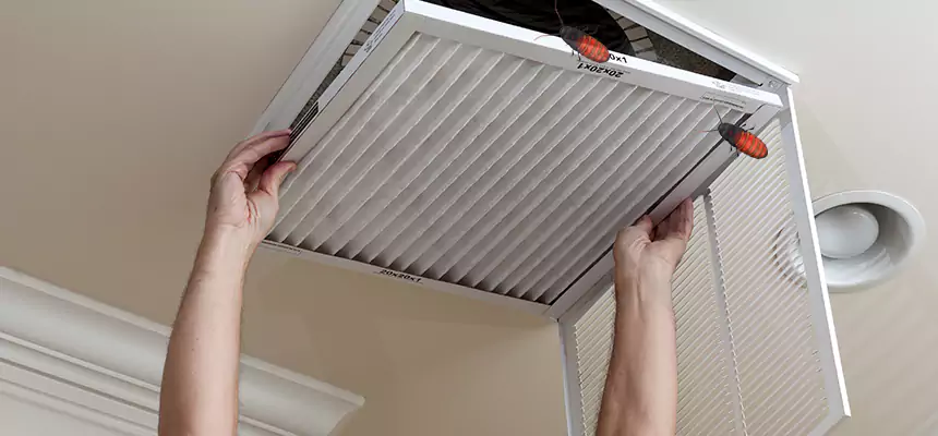 Our Insect Removal from Air Ducts Services in Whittier, CA