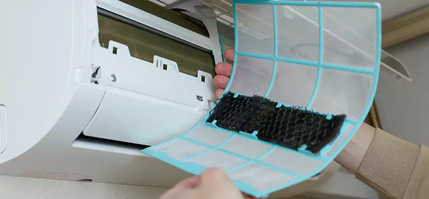 Gentle Ductwork Odor-Control Pet Dander Duct Cleaning in Whittier, CA