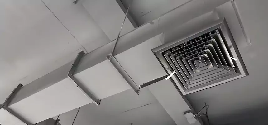 Our Rodent Droppings In Vents Services in Whittier, CA