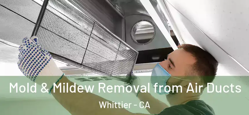  Mold & Mildew Removal from Air Ducts Whittier - CA