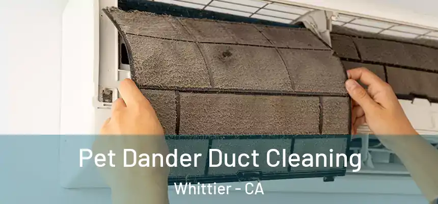 Pet Dander Duct Cleaning Whittier - CA