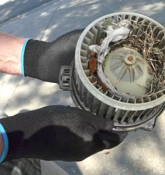 About Air Duct Mice Removal in Whittier, CA