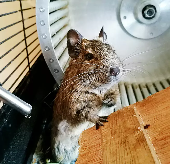 Why Homeowners & Businesses Trust Us Whittier, CA?