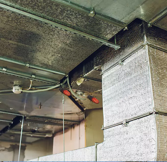 Why Homeowners & Businesses Trust Us Whittier, CA?