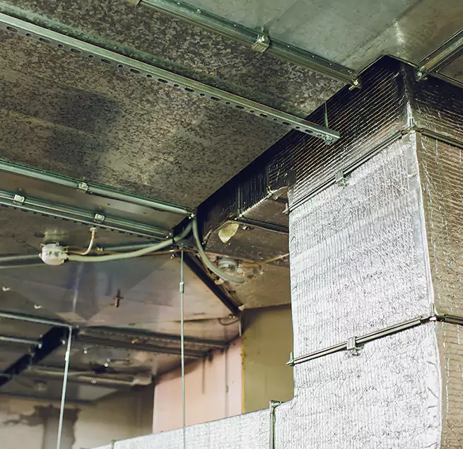 Why Homeowners & Businesses Trust Us in Whittier, CA?