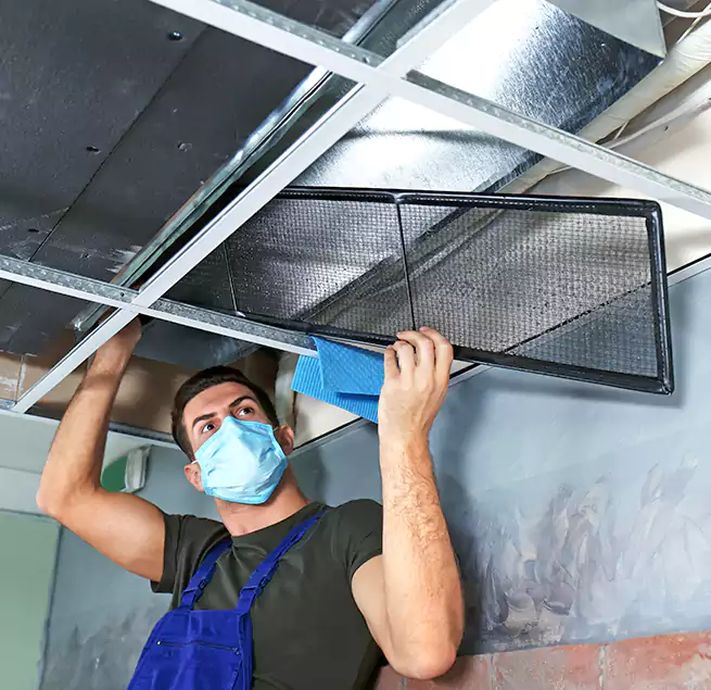 Why Homeowners Businesses Trust Us in Whittier, CA